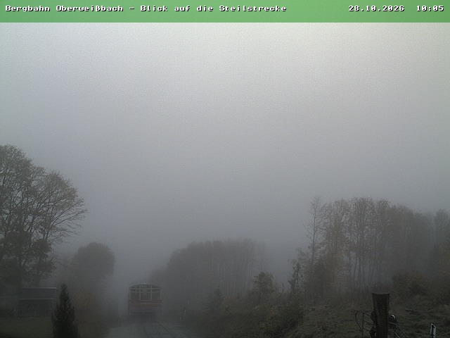 Camera Live Image